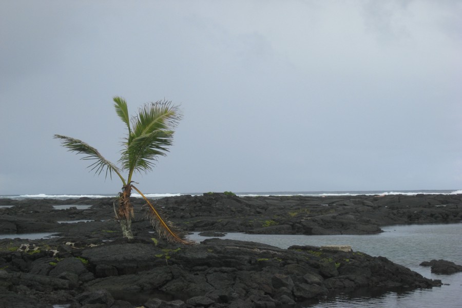 ../image/kapoho tide pools 7.jpg